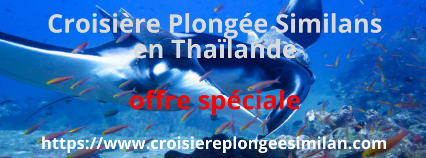 Croisière Plongée Similans en Thaïlande